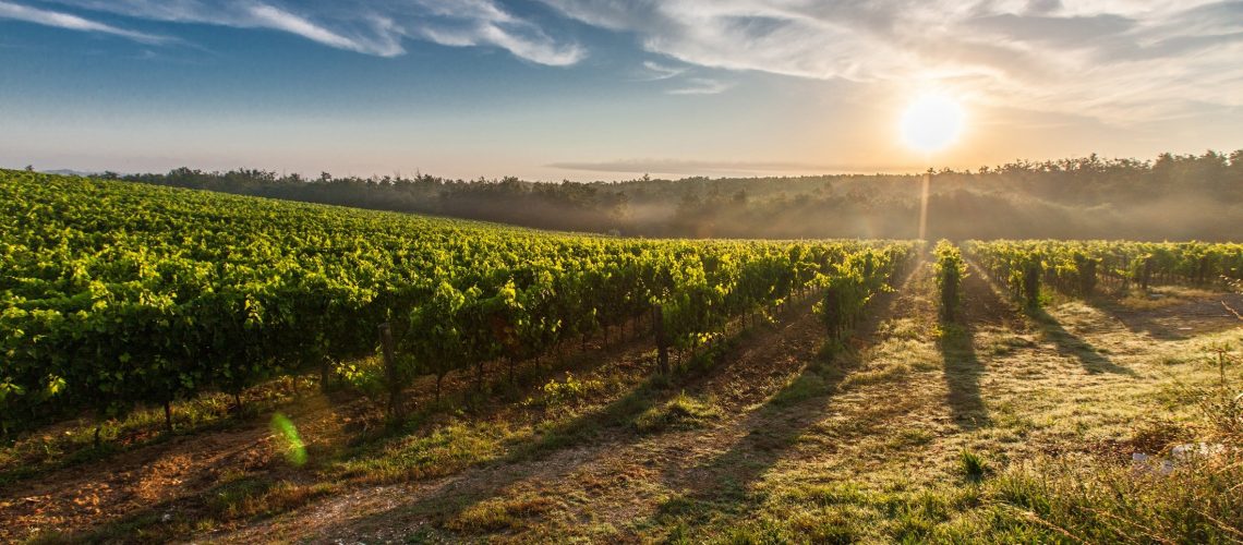 Planejamento sucessório do Produtor Rural